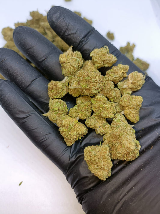 Amnesia Haze(Små blomster/Popcorn)